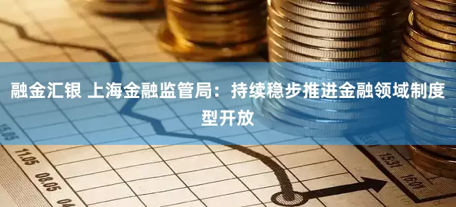 融金汇银 上海金融监管局：持续稳步推进金融领域制度型开放
